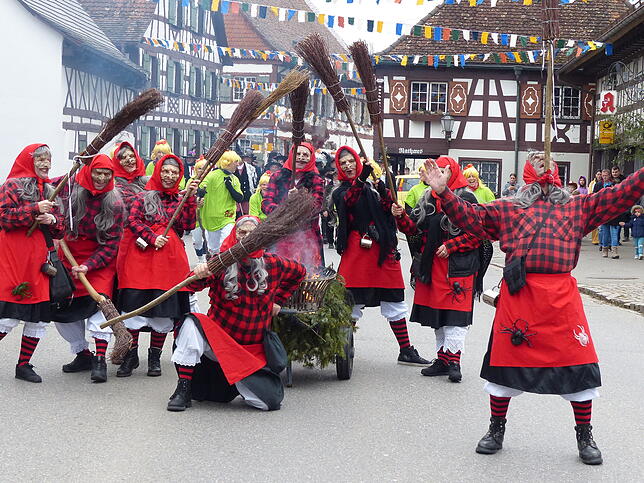 Bild 32: Bilder vom Umzug in Bermatingen