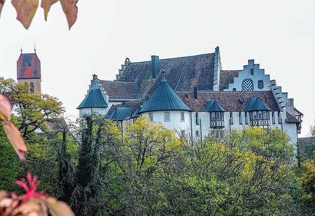 Das Schloss Blumenfeld soll in das Arbeits- und Freizeitleben des geplanten neuen Tengener Ko-Dorfes miteinbezogen werden.