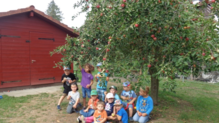 Im „Kinder-Garten“ in Lienheim wird Gemüse und Obst angebaut. Neben dem gesunden Zusatz zum Frühstück spielen Artenvielfalt und ...