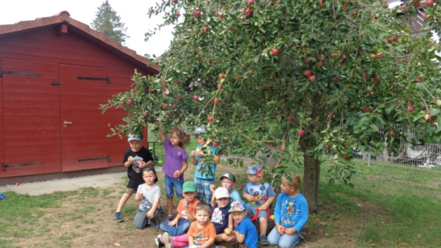 Im „Kinder-Garten“ in Lienheim wird Gemüse und Obst angebaut. Neben dem gesunden Zusatz zum Frühstück spielen Artenvielfalt und ...