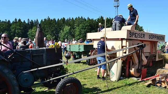 Mit einer alten Dreschmachine, angetrieben durch einen Lanz-Oldtimer, demonstrierte das Vollgaserteam die Getreideernte wie vor rund ...