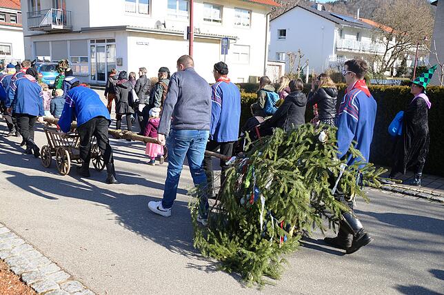 Bild 34: Bilder vom Kinderumzug- und Kinderball in Ludwigshafen