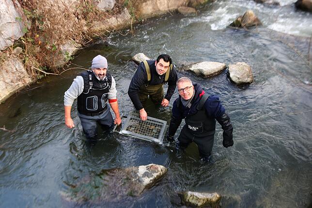 Martin Hund, Johannes Greiser und Michael Hügel (von links) mit dem Metallkorb, in dem sich 5000 befruchtete Bachforelleneier befinden.