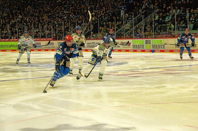 Bild 17: Fans, fliegende Fäuste und Feiern &ndash; Bilder vom 5:1 der Wild Wings gegen Straubing