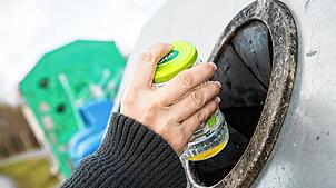 In einer Glasflasche an einem Altglascontainer wurden tote Seepferdchen aufgefunden. (Symbolbild)