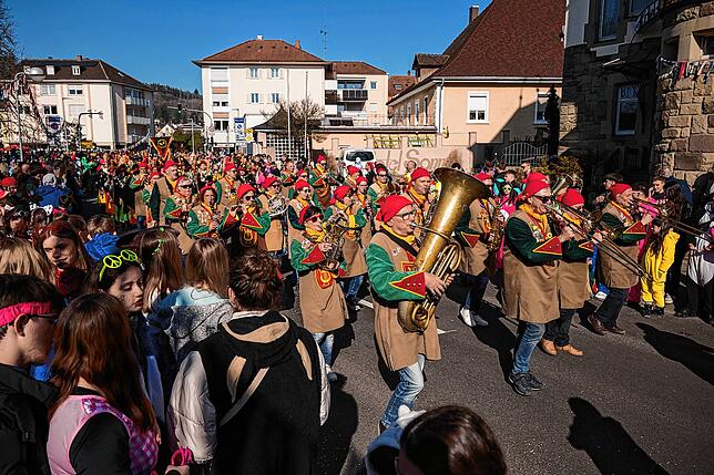 Bild 34: Unvergessliche Bilder vom Rosenmontagsumzug in Gottmadingen: So bunt war die Fasnacht 2025!