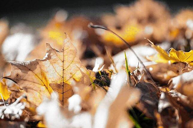 Bild 4: So schön ist der goldene Oktober: Leserreporter zeigen ihre schönsten Herbst-Impressionen