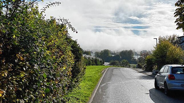 Bis zu 800 Fahrzeuge nutzen die Straße Am Maisenbühl pro Tag. Sie fahren hier zur Waldorfschule, dem Sportplatz und zum Kinderdorf.