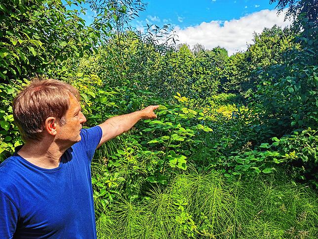 Anwohner Frank Bombis zeigt im Garten vor dem Haus stehend in Richtung der etwa 60 Meter entfernten Trendsporanlage. Sträucher, Gehölz ...