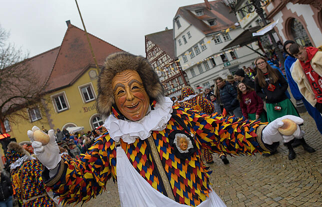 Bild 16: Tausende Hästräger und Musiker in Pfullendorf: Bilder vom Umzug (4)