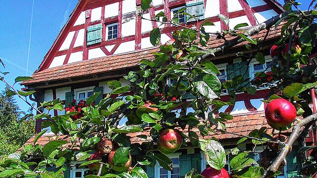 Auch die Streuobstbäume im Freilichtmuseum sind ein Thema bei &bdquo;Erntedank &ndash; Nachhaltiger Genuss&ldquo;.
