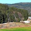 Ein Holzlager für 12000 Festmeter wird derzeit bei der Kläranlage der Stadt Vöhrenbach eingerichtet. Im Hintergrund ist die Ruine ...