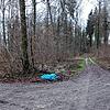 Illegale Müllablagerung in einem Konstanzer Waldstück.
