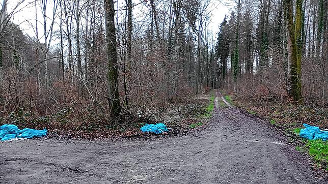 Illegale Müllablagerung in einem Konstanzer Waldstück.