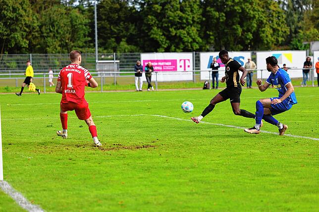 Bild 22: Unsere große Bildergalerie vom 8:1-Sieg des TSV Singen in der Verbandsliga gegen den FC Waldkirch