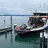 Die gasbetreibene Fähre „Richmond“ fährt am 7. Juli im Fährhafen in Meersburg sein. Sie ist ab sofort im Regelbetrieb.