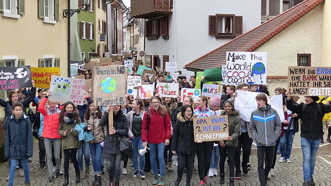 Vor einer Woche zogen Jugendliche bei einer "Friday for Future"-Demonstration durch Bad Säckingen.