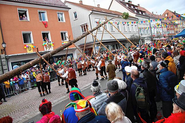 Die Stockacher Zimmerer nehmen alle Kräfte zusammen, um den Narrenbaum in die Senkrechte zu heben. Bilder: Ramona Löffler, Jennifer Seidel
