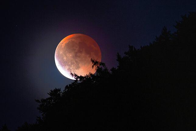 Der Mond über dem Bodenwald oberhalb von Bodman.
