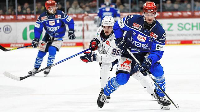Will Weber gehört zu den dienstältesten Spielern bei den Wild Wings. Bild: R. Müller