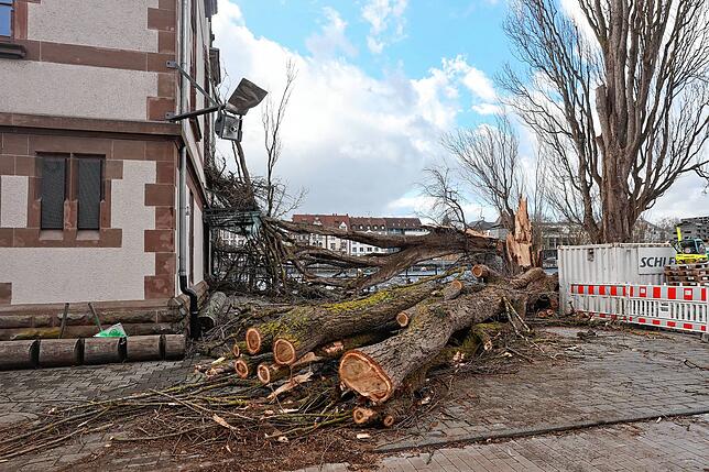 Sturm Sabine richtete in der ganzen Region Schäden an.
