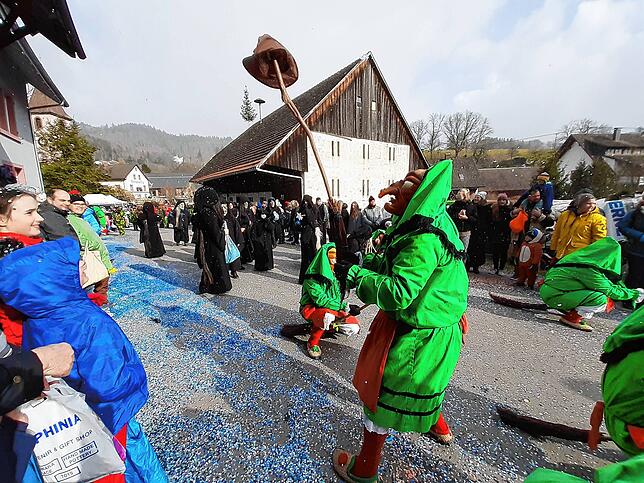 Bild 30: Die schönsten Bilder vom großen Habufa-Umzug in Hasel (2)