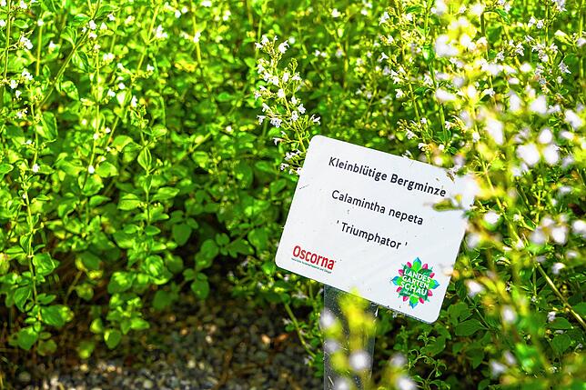 Bild 2: So kommt die Landesgartenschau bei ihren Besuchern an