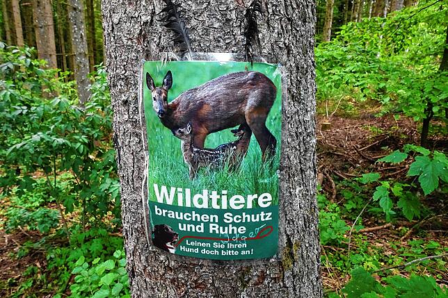 Von Jägern angebrachtes Plakat mit dem Hinweis, die Hunde im Wald anzuleinen.