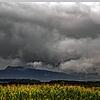 Dunkle Wolken am Himmel über dem Luftkurort Tengen. Im Gemeinderat wurde kontrovers über den richtigen Zeitpunkt zur Einführung einer ...
