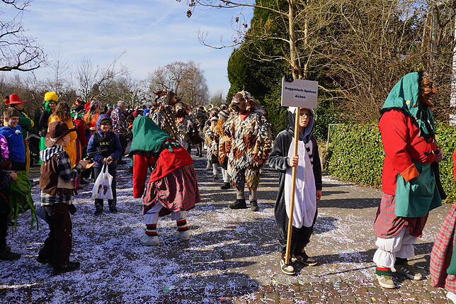 Bild 10: Küssaberger Narrentreffen 2025: Rheinheim feiert Fasnacht