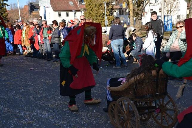 Bild 36: Bilder vom Narrentreffen der Urviecher-Zunft Bad Dürrheim: Großer Festumzug (4)