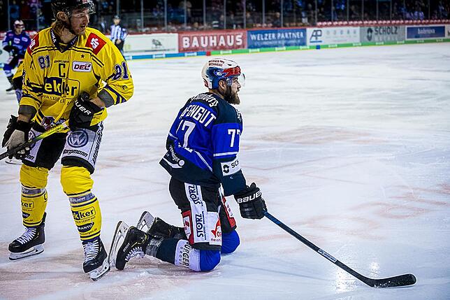 Bild 31: Bilder: Wild Wings vs. Krefeld Pinguine