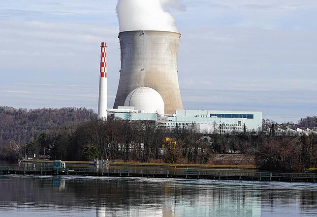 Das Schweizer Atomkraftwerk Leibstadt.