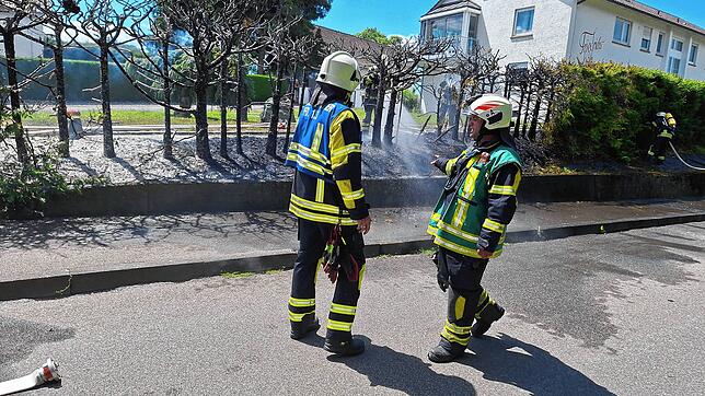 Die Feuerwehr Pfullendorf löscht am Freitagmittag einen Heckenbrand.