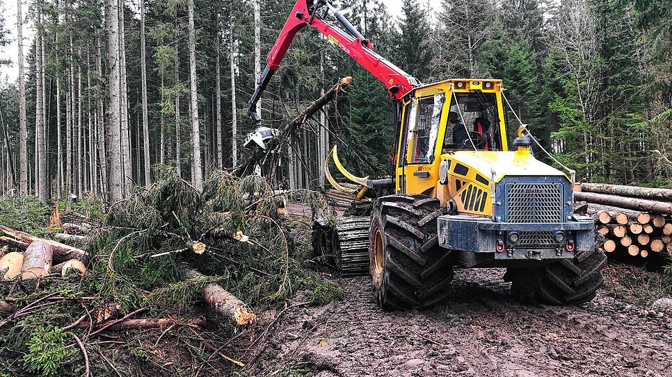 Ein Tragschlepper holt die Stämme aus dem Wald und ordnet sie am Wegesrand so ordentlich, dass Lastwagen das Holz schnell zu den Kunden ...