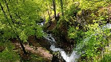 Angeboten werden zwei Termine im Rahmen des Biosphären-Projekts &bdquo;Wald-Wasser-Boden im Klimawandel&ldquo;. Bild: Thomas Stephan