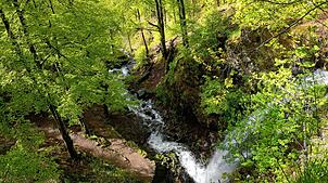 Angeboten werden zwei Termine im Rahmen des Biosphären-Projekts &bdquo;Wald-Wasser-Boden im Klimawandel&ldquo;. Bild: Thomas Stephan