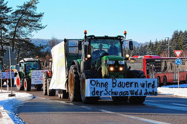 Bild 26: Bauern protestieren gegen Sparpläne: Bilder vom Traktorkorso zur Brauerei Rothaus