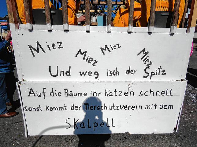 Bild 14: So schön war der Brigachtaler Umzug 2025