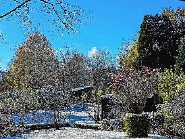 Schnee und blauer Himmel in Mönchweiler, so darf der Winter weitergehen.
