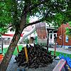 Der Kindergarten Villa Pfiffikus in Moos bietet zehn Krippenplätze an. Doch selbst mit den weiteren zehn Krippenplätzen in Bankholzen ...