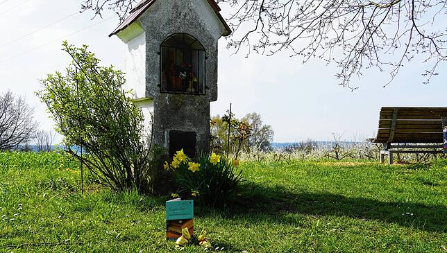 Die Escape-Tour in Bermatingen verspricht eine Wanderung mit Rätselspaß