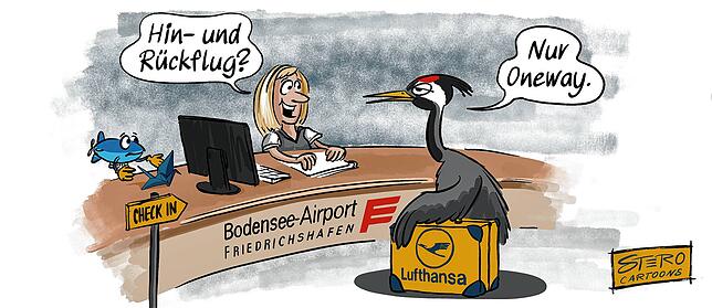 Kein Zurück mehr für die Kranich-Airline: Lufthansa streicht den Bodensee-Airport von der Liste.