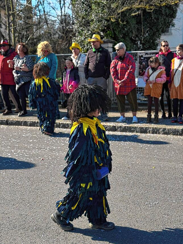 Bild 5: Fasnacht 2025: Alle Bilder vom Gemeinschaftsumzug in Mühlhofen