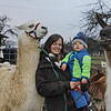 Aus einer Idee wurde Wirklichkeit: Sabrina Pahori aus Engen und ihr kleiner Sohn Neo (im Bild mit den Lama-Stuten Amaja und Romi) sehen ...