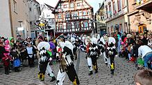 Bild : Bunter Einzug zum Narrenbaumstellen in Meßkirch