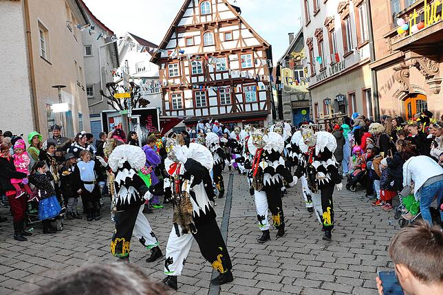Bild 1: Bunter Einzug zum Narrenbaumstellen in Meßkirch