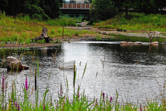 Blick auf das neue Mündungsdelta in seiner revitalisierten Form. Es soll nicht nur für Flora und Fauna ein Gewinn sein, sondern auch für ...