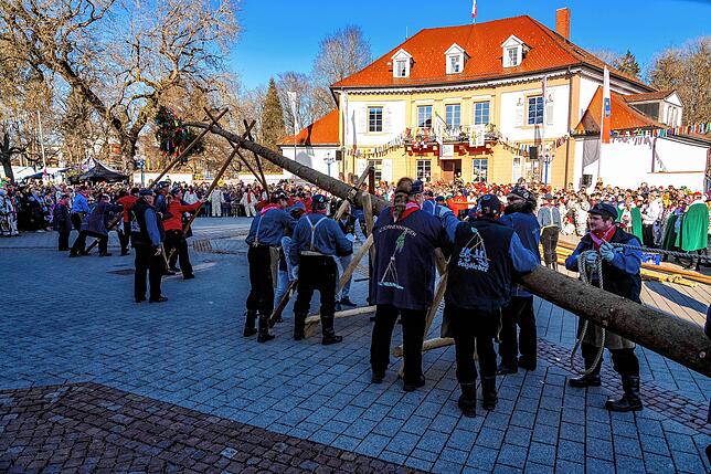 Bild 17: So wird der Narrenbaum am Samstag beim Narrentreffen in Bad Dürrheim aufgestellt!