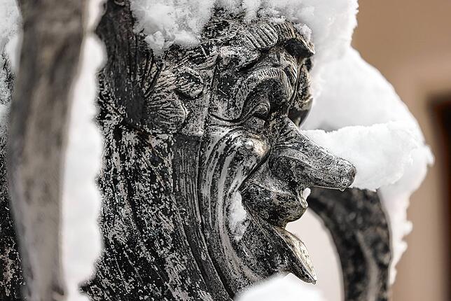 Bild 1: Wintereinbruch in Radolfzell: Die schönsten Bilder vom ersten Schnee